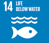 SDG 14