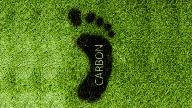 Carbon Offset