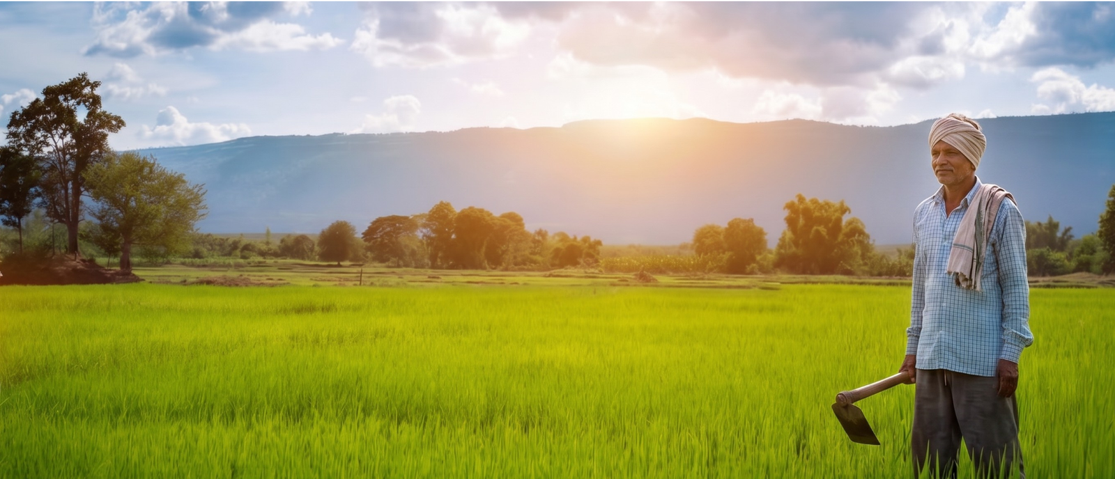 Indian farmer standing in agricultural field